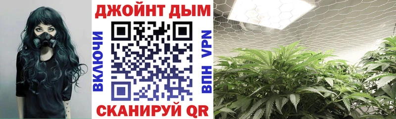 Как найти наркотики Камбарка ГАШИШ  Alpha PVP  Мефедрон 