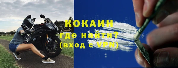 трава Аркадак