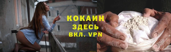 трава Аркадак