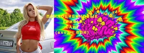 трава Аркадак
