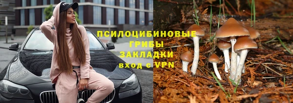 трава Аркадак