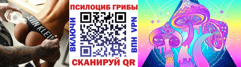 Псилоцибиновые грибы прущие грибы omg ССЫЛКА Камбарка